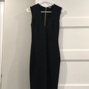 DL bodycon dress.